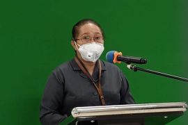 BPS:Impor Papua tercatat senilai 46,71 juta dolar AS pada Maret 2022