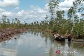 Desa Jambu Baru pertahankan kearifan lokal dari ekspansi sawit
