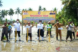 Kementan ajak petani Gorontalo budi daya tanaman sehat