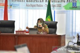 Wabup Madina buka pertemuan rembuk stunting