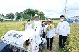 Banyuwangi luncurkan "Playu Anter" untuk integrasikan layanan pertanian