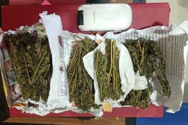 Polisi ringkus penjual ganja