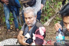 Pasca serangan Harimau, masyarakat - karyawan PTPN III Hapesong sementara dilarang beraktivitas