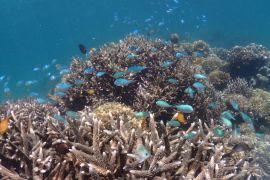 KKP tetapkan kawasan konservasi di perairan timur Pulau Bintan Kepri