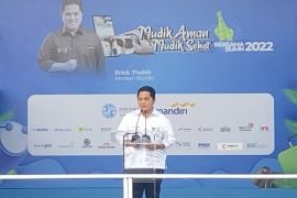Menteri BUMN perkirakan industri penerbangan kembali normal 6 bulan ke depan
