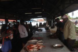 ARUS MUDIK - Harga ikan di Jayawijaya naik Rp120 ribu jelang Idul Fitri