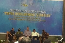 Kabupaten/Kota di Papua perlu regulasi khusus melindungi perempuan-anak