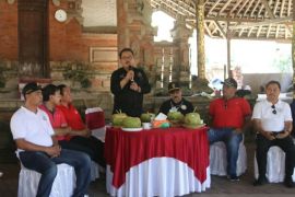 Wagub Bali ajak bupati bangun kesadaran dalam satu kesatuan wilayah
