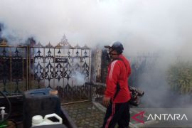 Pemkot Denpasar lakukan "fogging" antisipasi demam berdarah