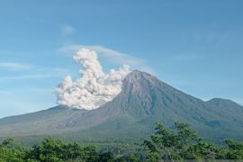 Gunung Semeru luncurkan awan panas sejauh 3,5 km