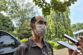 Hewan di Taman Margasatwa Ragunan "Ikut Lebaran 2022"