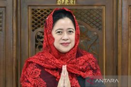 Puan Maharani apresiasi dedikasi bidan bantu perkuat kesehatan ibu dan bayi