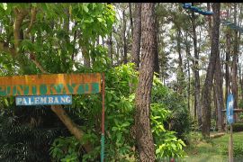 Wisata Punti Kayu Palembang masih ramai pengunjung