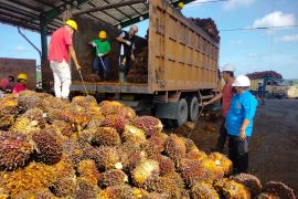 Setahun beroperasi, PT IIS Pangkalan Lesung mulai tingkatkan ekonomi masyarakat