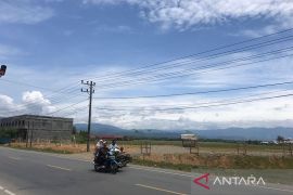 Ribuan hektare sawah di Kabupaten Pidie beralih fungsi