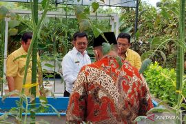 Mentan Syahrul tegaskan pemerintah sudah bisa kendalikan penyebaran PMK