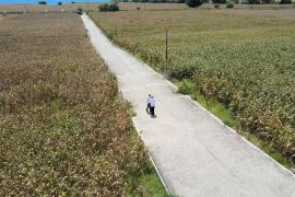 PLN siapkan 1,38 MVA untuk listriki MXGP Samota Sumbawa