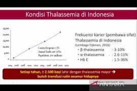 Kemenkes perkirakan 2.500 bayi lahir dengan  talasemia per tahun