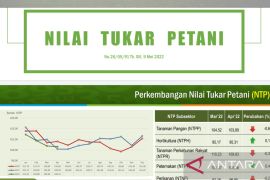 Nilai tukar petani Papua Barat turun 0,7 persen di periode April