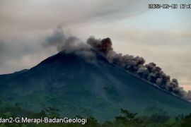 Gunung Merapi luncurkan awan panas guguran sejauh 1.800 meter ke barat daya
