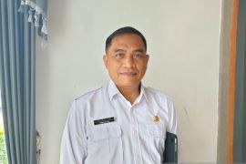 Dinkes Bali: Nakes edukasi warga desa soal hepatitis akut