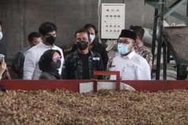 Ekspor pinang tingkatkan nilai ekspor Jambi pada Maret 2022