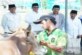 Badan Karantina Pertanian Madura larang masuknya sapi dari luar daerah