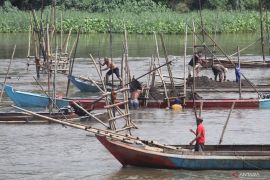 Tambang pasir ilegal Sungai Brantas