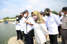 Menteri Keluatan dan Perikanan kunjungi lokasi kebakaran kapal nelayan di Cilacap