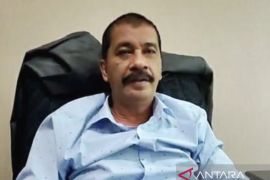 Seratus pemuda Kalimantan ikut berpartisipasi Pra- KTT Y20