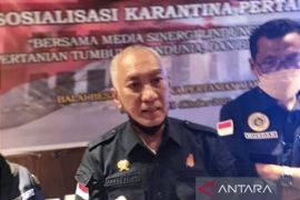 BBKP Makassar sebut stok daging sapi aman saat Idul Adha 1443 H