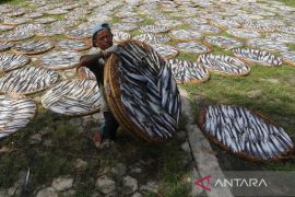 Prosentase realisasi PEN 2022