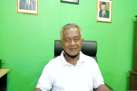 Belum ada hewan ternak terjangkit penyakit kuku dan mulut di Kabupaten Belitung