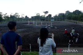 Legislator: Kejuaraan Pacuan Kuda perlu dijadwal ulang akibat PMK