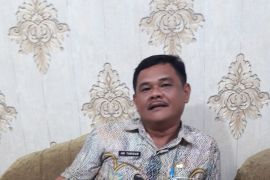 Langkat lakukan penyekatan masuknya sapi asal Aceh guna menghindari PMK