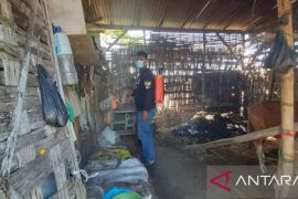 FRPB Pamekasan lakukan penyemprotan disinfektan kandang sapi milik warga