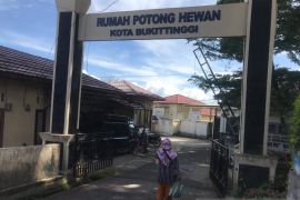 Kasus PMK Sapi di Sumbar tidak pengaruhi harga daging di Bukittinggi