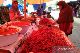 Harga cabai merah turun di Agam, cabai rawit naik