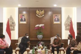 Wapres Zimbabwe kunjungi Indonesia selama sepekan