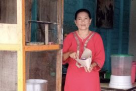 Pedagang di Inhil keluhkan harga sembako belum stabil pasca lebaran