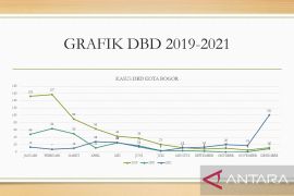 Dengue cases decreases in Indonesia during pandemic