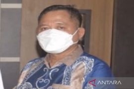 Dewan dorong pemerintah gali potensi pendapatan