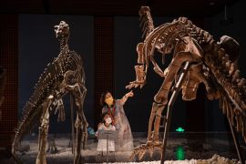 Sebagian besar museum di China sediakan akses masuk gratis