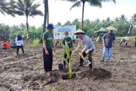 Kementan dorong petani Sulut terus budidayakan Kelapa