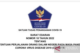 Satgas terbitkan ketentuan perjalanan domestik masa transisi endemi