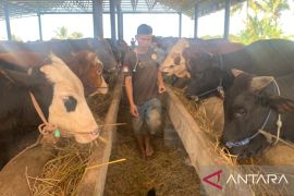 Dislutkanak bersama Polres Cianjur tingkatkan pengawasan antisipasi wabah PMK