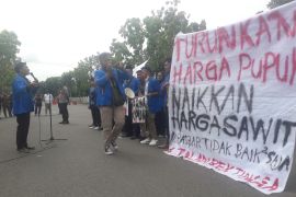 Aliansi mahasiswa Pasbar unjuk rasa terkait harga sawit dan mahalnya harga pupuk