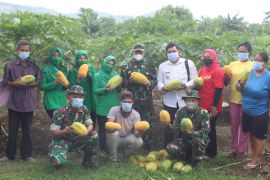Danrem 033/WP ajak warga budidaya tanaman hortikultura