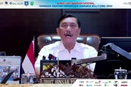 Menko Luhut:  Pembangunan IKN tarik minat investor mancanegara