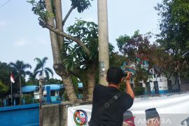 Dugaan pelecehan seksual murid, oknum Guru SD Negeri di Deliserdang dilarang mengajar